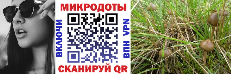 Галлюциногенные грибы мухоморы  Губаха 